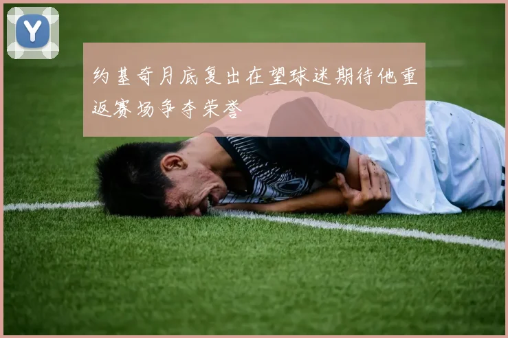 约基奇月底复出在望球迷期待他重返赛场争夺荣誉