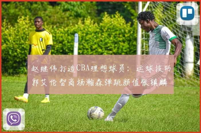 赵继伟打造CBA理想球员：运球技巧郭艾伦智商杨瀚森弹跳颜值张镇麟完美结合